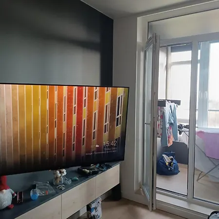 Pasichna Apartment *